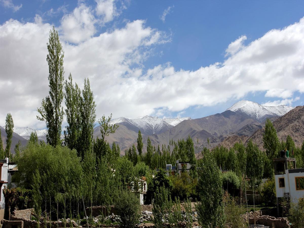 TIH Hotel Mahay Palace Leh Bagian luar foto