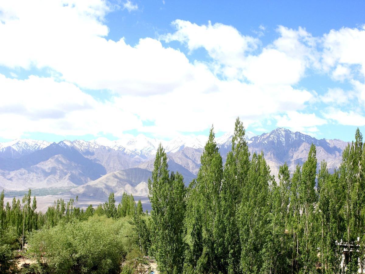 TIH Hotel Mahay Palace Leh Bagian luar foto