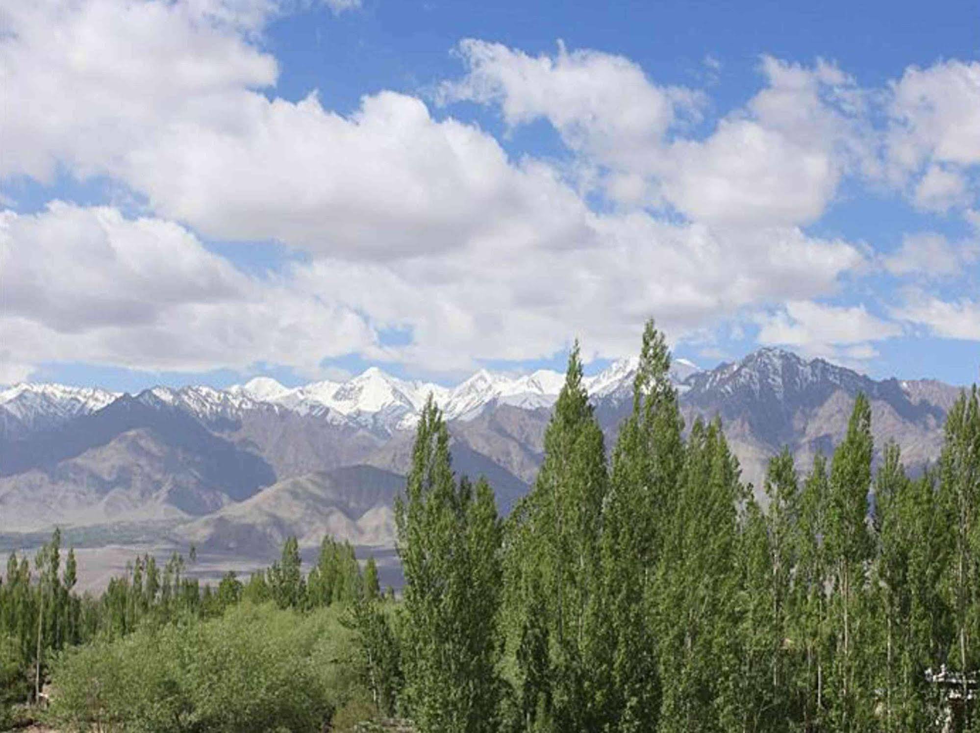 TIH Hotel Mahay Palace Leh Bagian luar foto